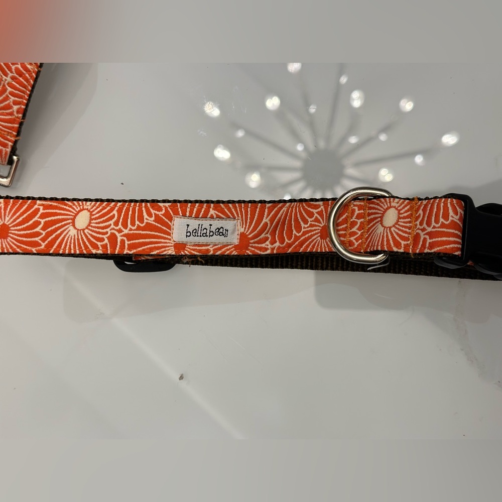 Bella Bean Couture Large Collar & Lead